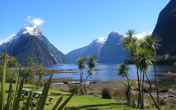 Ngỡ ngàng với phong cảnh tuyệt đẹp tại đảo Nam New Zealand 19