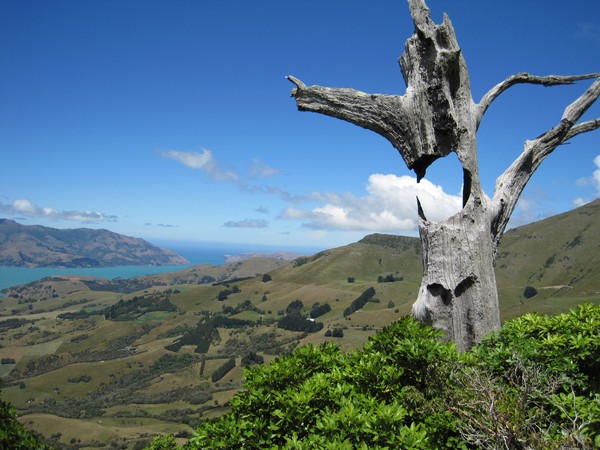 Ngỡ ngàng với phong cảnh tuyệt đẹp tại đảo Nam New Zealand 20