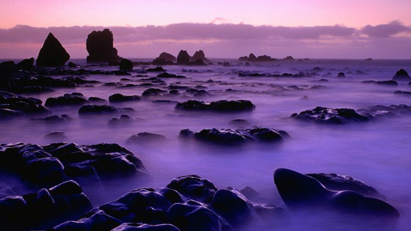 Ngỡ ngàng với phong cảnh tuyệt đẹp tại đảo Nam New Zealand 24