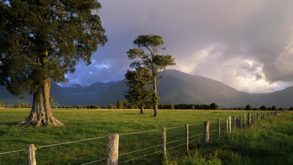 Ngỡ ngàng với phong cảnh tuyệt đẹp tại đảo Nam New Zealand 3