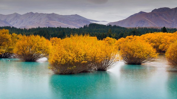 Ngỡ ng&agrave;ng với phong cảnh tuyệt đẹp tại đảo Nam New Zealand 10