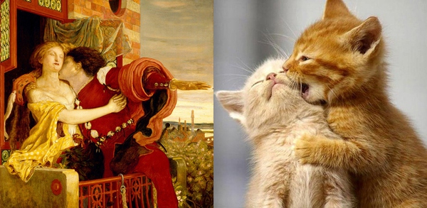 Thư giãn với 16 chú mèo tái hiện lại các tác phẩm nghệ thuật 11