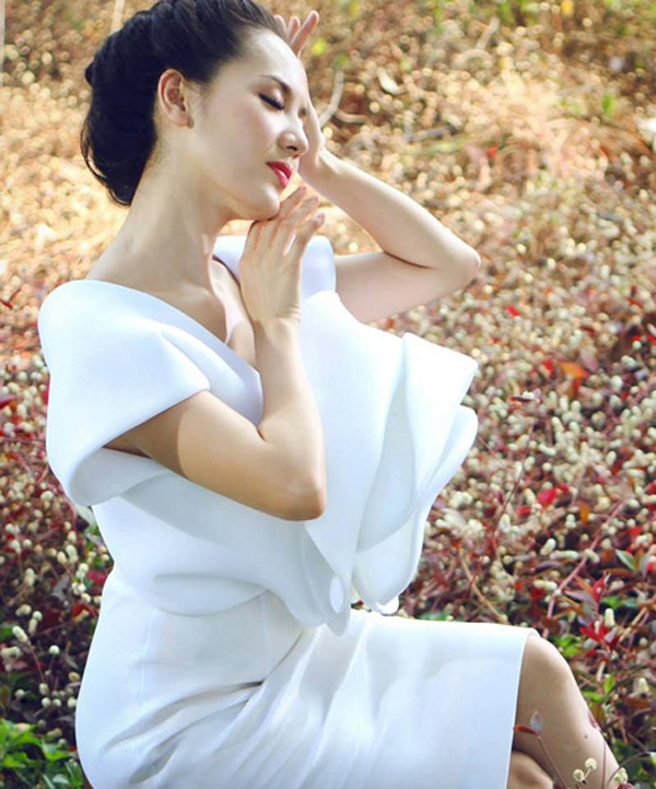 "Mặc chung" trang phục, kiều nữ Việt nào đẹp hơn 12