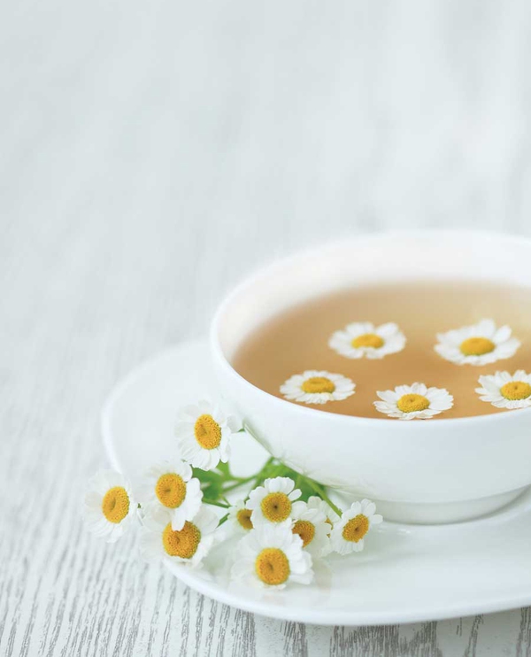 Đẹp như hoa nhờ dưỡng da bằng hoa hồng, hoa cúc 6 Đẹp như hoa nhờ dưỡng da bằng hoa hồng, hoa cúc 6