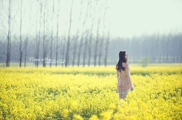 Vốn dĩ c&oacute; ai đ&oacute; y&ecirc;u t&ocirc;i như sinh mệnh&hellip;  2