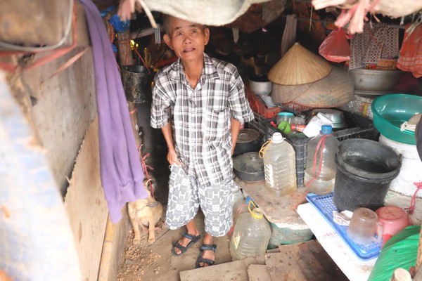 Hà Nội: Cặp vợ chồng sống trong túp lều xập xệ, cưu mang gần 20 con chó 8