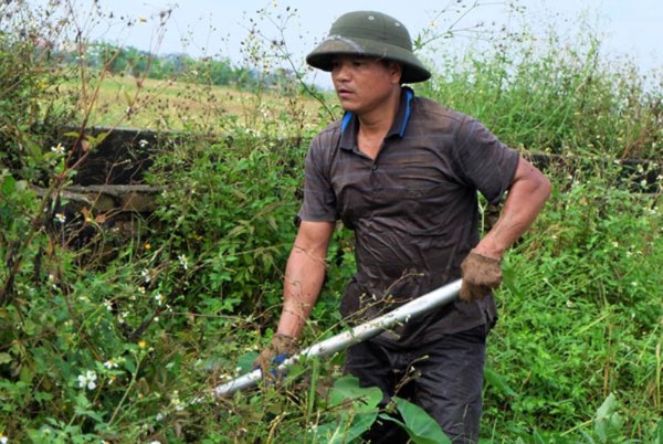 Kiếm nửa triệu mỗi ng&agrave;y nhờ bắt chuột đồng ở ngoại th&agrave;nh H&agrave; Nội 3