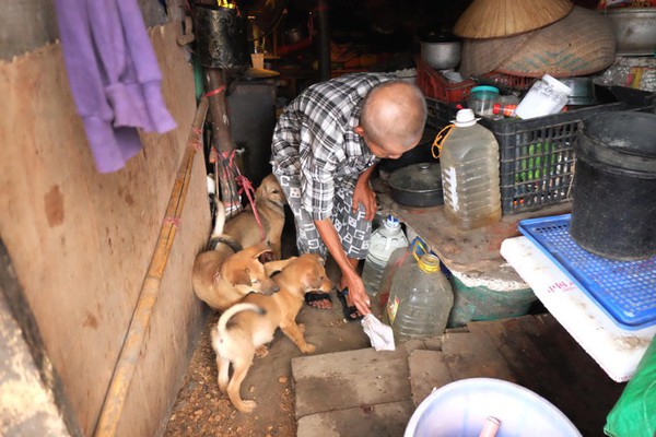 Hà Nội: Cặp vợ chồng sống trong túp lều xập xệ, cưu mang gần 20 con chó 4