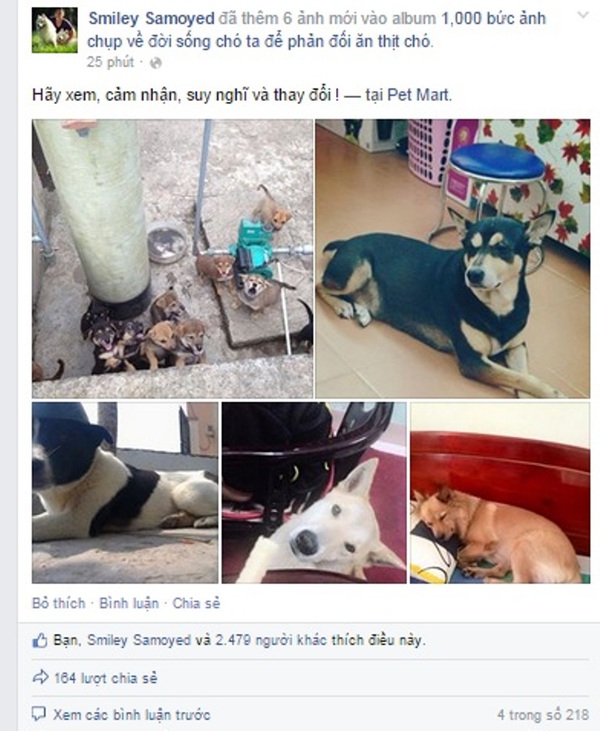 Đăng 1.000 bức ảnh những chú chó siêu dễ thương để phản đối việc ăn thịt chó 2
