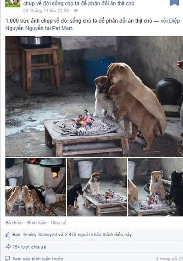 Đăng 1.000 bức ảnh những chú chó siêu dễ thương để phản đối việc ăn thịt chó 1