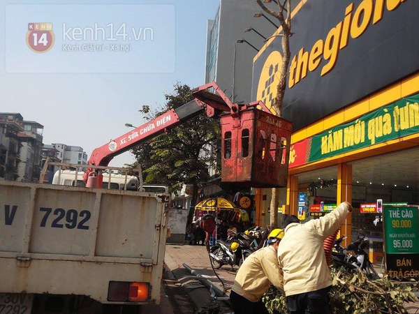 Hà Nội: Ô tô tông đổ cột đèn trên phố Kim Mã, cả gia đình kêu cứu 7