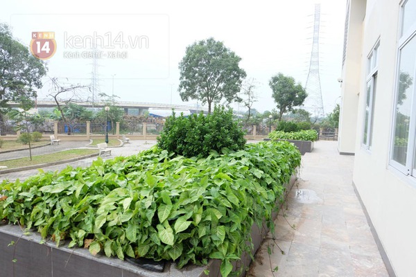 Cận cảnh khu chung cư sinh vi&ecirc;n hiện đại gi&aacute; 200 ngh&igrave;n đồng/th&aacute;ng ở H&agrave; Nội 4
