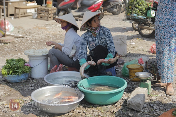 Giật mình với khu chợ trêu ngươi tử thần ở Hà Nội 4