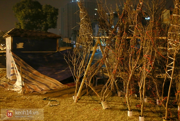 Nghẹn lòng trước cảnh "màn trời chiếu đất" của những người bán hoa Tết giữa đêm lạnh Hà Nội 11