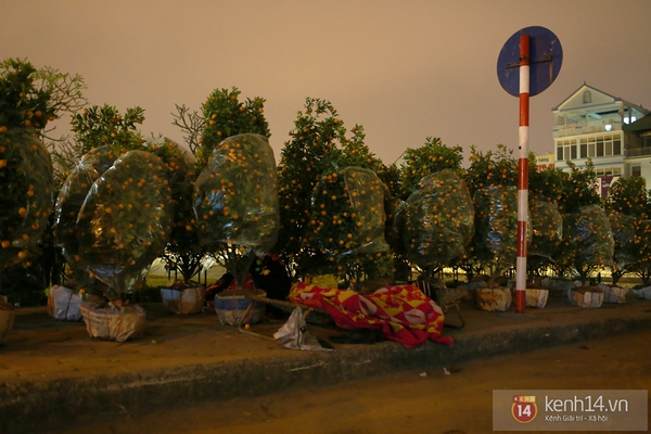 Nghẹn lòng trước cảnh "màn trời chiếu đất" của những người bán hoa Tết giữa đêm lạnh Hà Nội 20