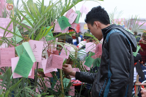 Hàng nghìn bạn trẻ Hà Nội tham gia lễ hội hiến máu lớn nhất trong năm 22