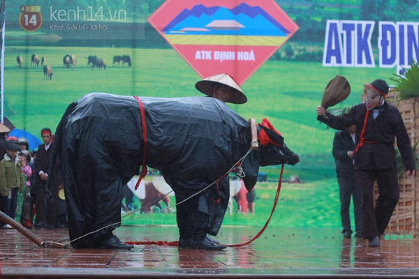 Nam thanh, nữ tú phấn khích với lễ hội Lồng Tồng - cầu mưa 9