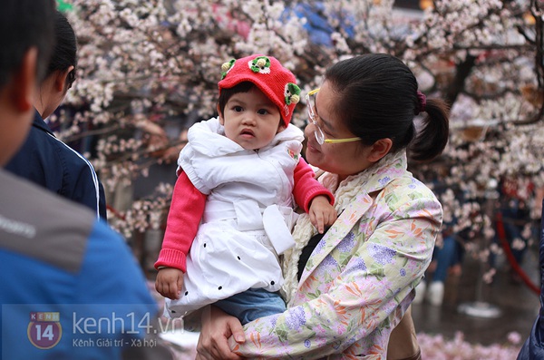 Nam thanh, nữ tú Hà thành đội mưa tham dự lễ hội hoa anh đào 2014 10