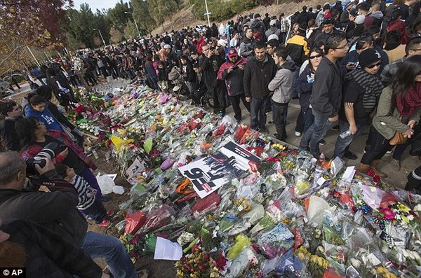 Fan huy động máy bay, siêu xe đến viếng Paul Walker 19