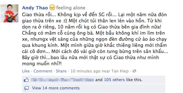 1001 cách sao Việt đón Tết trên Facebook 17
