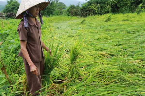 Nước lũ lên nhanh, nhiều khu vực ở Phú Yên bị cô lập 3