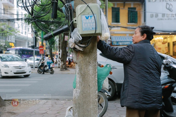 Người đàn bà hơn 20 năm "thạo" nuôi chim trời trên phố Hà Nội 4