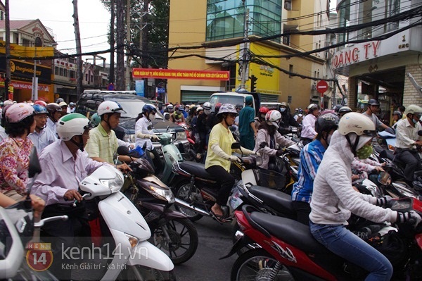 Sài Gòn: Cổ thụ bật gốc, hàng chục cột điện ngã đổ gây hoảng loạn 10