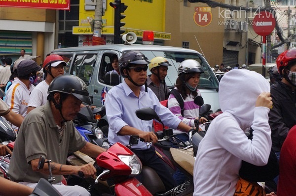 Sài Gòn: Cổ thụ bật gốc, hàng chục cột điện ngã đổ gây hoảng loạn 11