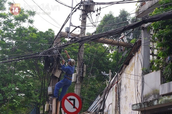 Sài Gòn: Cổ thụ bật gốc, hàng chục cột điện ngã đổ gây hoảng loạn 3