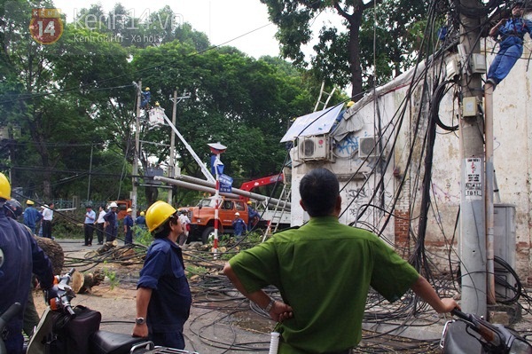 Sài Gòn: Cổ thụ bật gốc, hàng chục cột điện ngã đổ gây hoảng loạn 2
