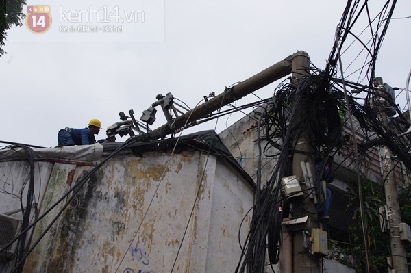 Sài Gòn: Cổ thụ bật gốc, hàng chục cột điện ngã đổ gây hoảng loạn 4