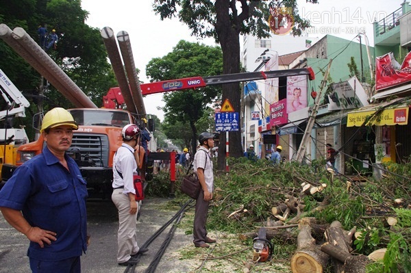 Sài Gòn: Cổ thụ bật gốc, hàng chục cột điện ngã đổ gây hoảng loạn 6