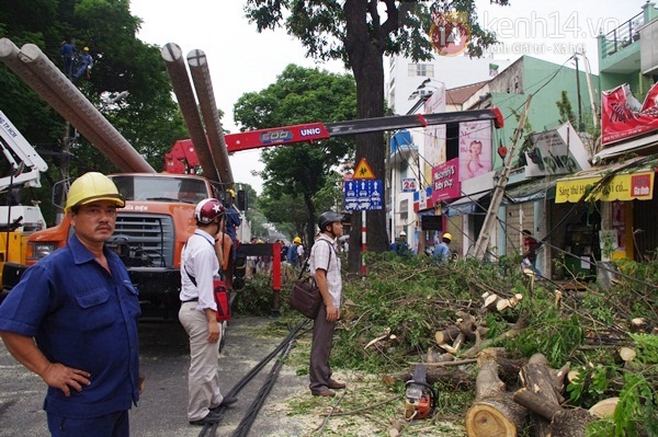 S&agrave;i G&ograve;n: Cổ thụ bật gốc, h&agrave;ng chục cột điện ng&atilde; đổ g&acirc;y hoảng loạn 6
