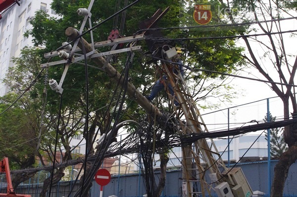 Sài Gòn: Cổ thụ bật gốc, hàng chục cột điện ngã đổ gây hoảng loạn 8