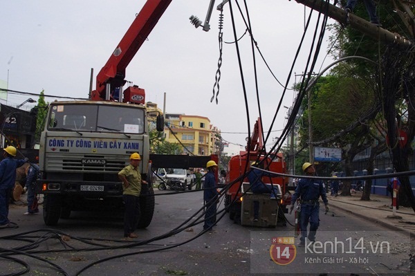 S&agrave;i G&ograve;n: Cổ thụ bật gốc, h&agrave;ng chục cột điện ng&atilde; đổ g&acirc;y hoảng loạn 14