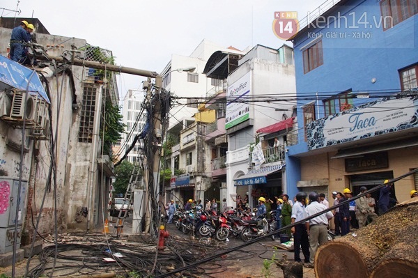 Sài Gòn: Cổ thụ bật gốc, hàng chục cột điện ngã đổ gây hoảng loạn 13