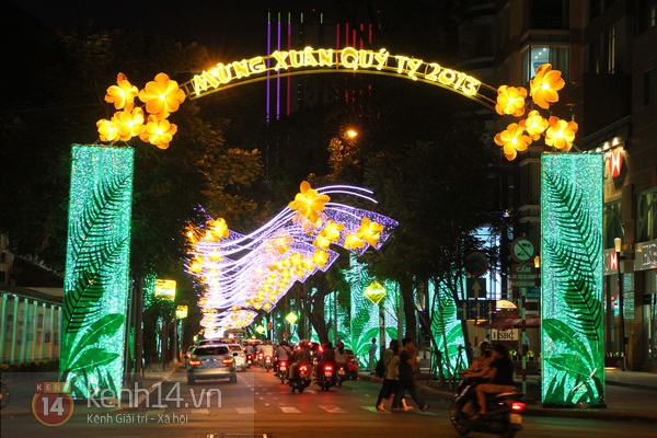 Sài Gòn: Lung linh những con đường mừng xuân mới 1