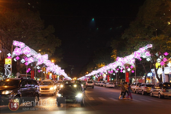 Sài Gòn: Lung linh những con đường mừng xuân mới 19