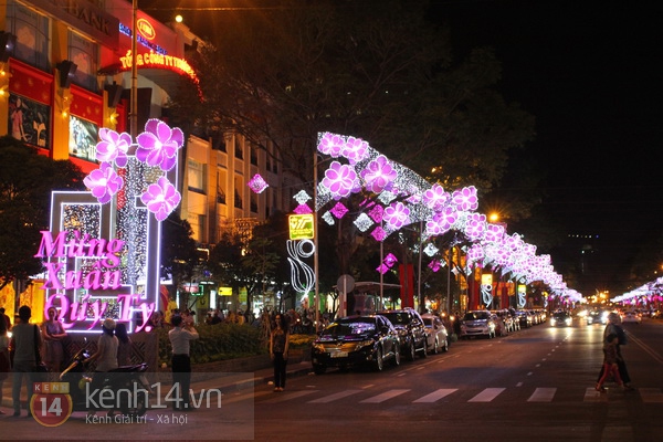 Sài Gòn: Lung linh những con đường mừng xuân mới 21
