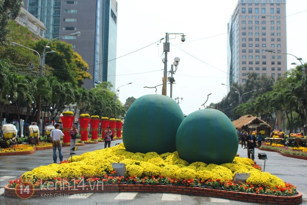 Những hình ảnh đầu tiên về đường hoa Nguyễn Huệ 2013 15