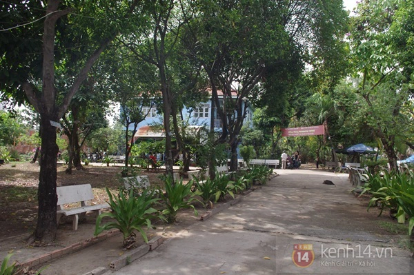 Cảnh đời về gi&agrave; của "những ng&ocirc;i sao một thời" trong viện dưỡng l&atilde;o nghệ sĩ 2