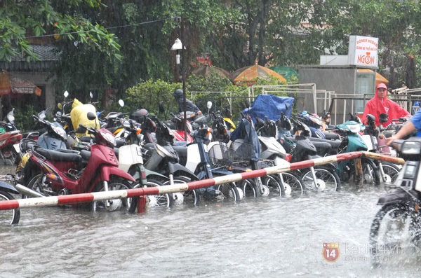 TP.HCM "ch&igrave;m" trong biển nước v&agrave;o s&aacute;ng 7/11 16