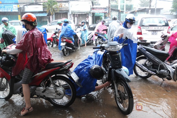 TP.HCM "ch&igrave;m" trong biển nước v&agrave;o s&aacute;ng 7/11 26