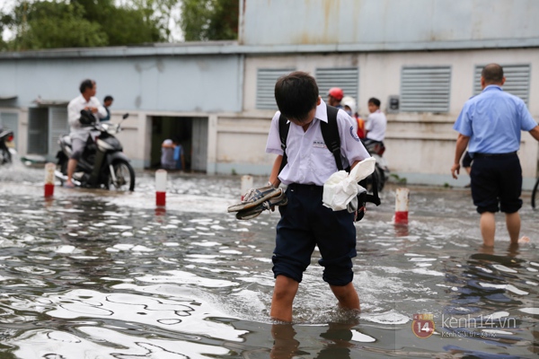 TP.HCM "ch&igrave;m" trong biển nước v&agrave;o s&aacute;ng 7/11 38