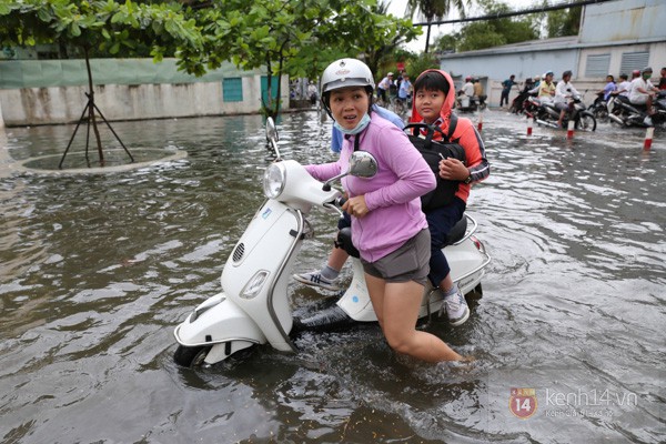 TP.HCM "ch&igrave;m" trong biển nước v&agrave;o s&aacute;ng 7/11 39