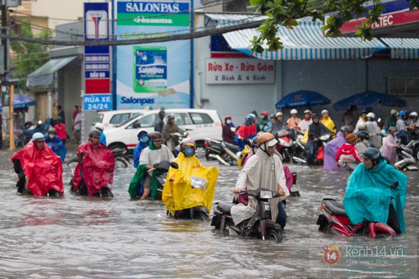 TP.HCM "ch&igrave;m" trong biển nước v&agrave;o s&aacute;ng 7/11 35