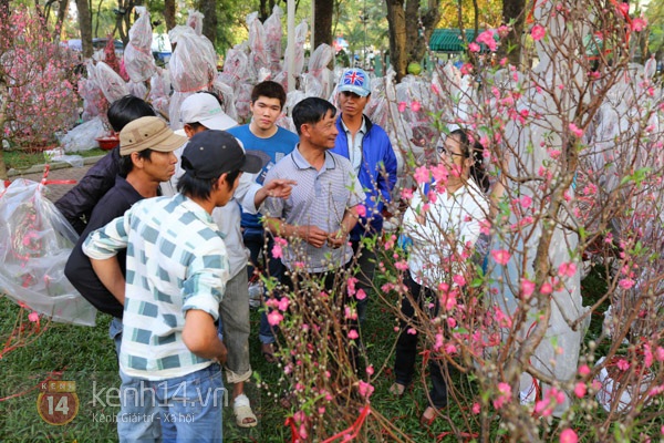 Thị trường giáp Tết: Hoa lan hút khách, quà Tết vài chục triệu đồng gây sốt 8