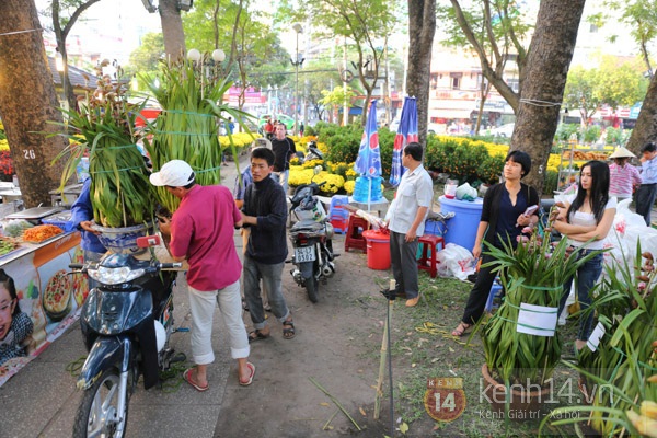 Thị trường giáp Tết: Hoa lan hút khách, quà Tết vài chục triệu đồng gây sốt 13