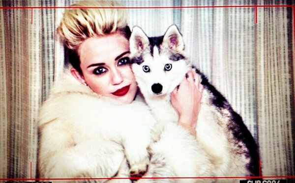 Miley Cyrus "ngang tàng" tung single trở lại 3