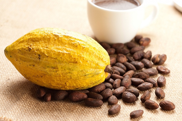 B&iacute; k&iacute;p uống cacao v&agrave;o m&ugrave;a đ&ocirc;ng "đ&uacute;ng chuẩn" 1
